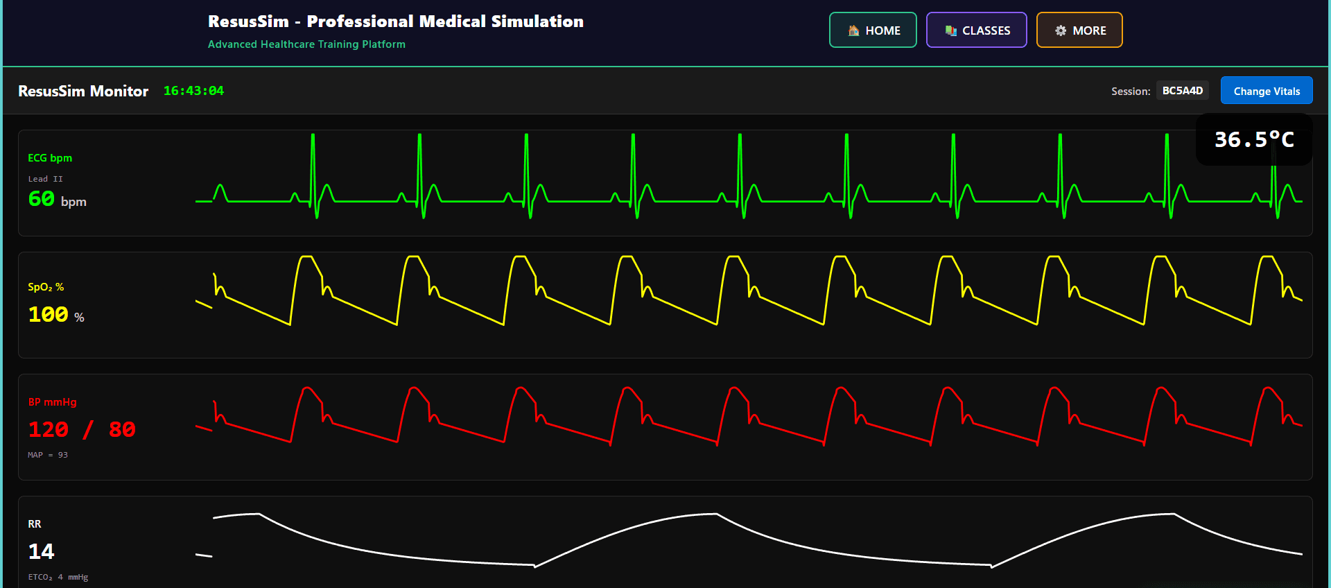 ResusSim Monitor Interface